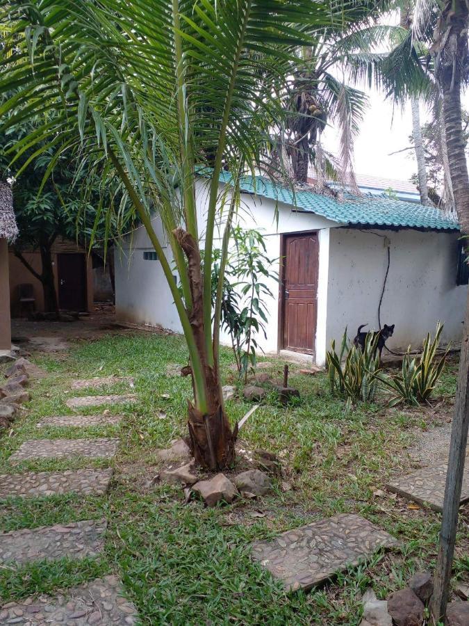 The Plantation Hostel Kampot Exterior foto